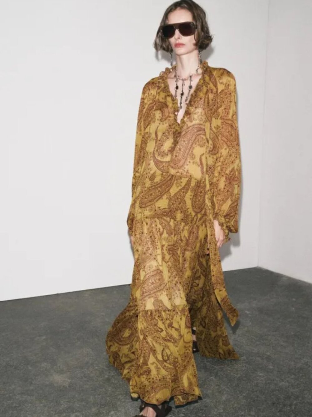 ZARA Long Sleeve Paisley Dress ZW Collection Size M $179 NWT * See description - Picture 1 of 15